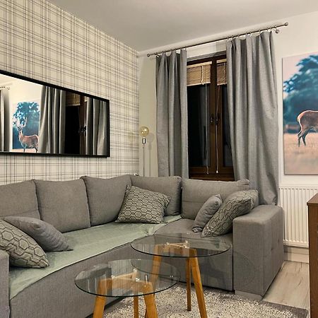 Apartament Dziki Rogacz シュツァブニツァ エクステリア 写真