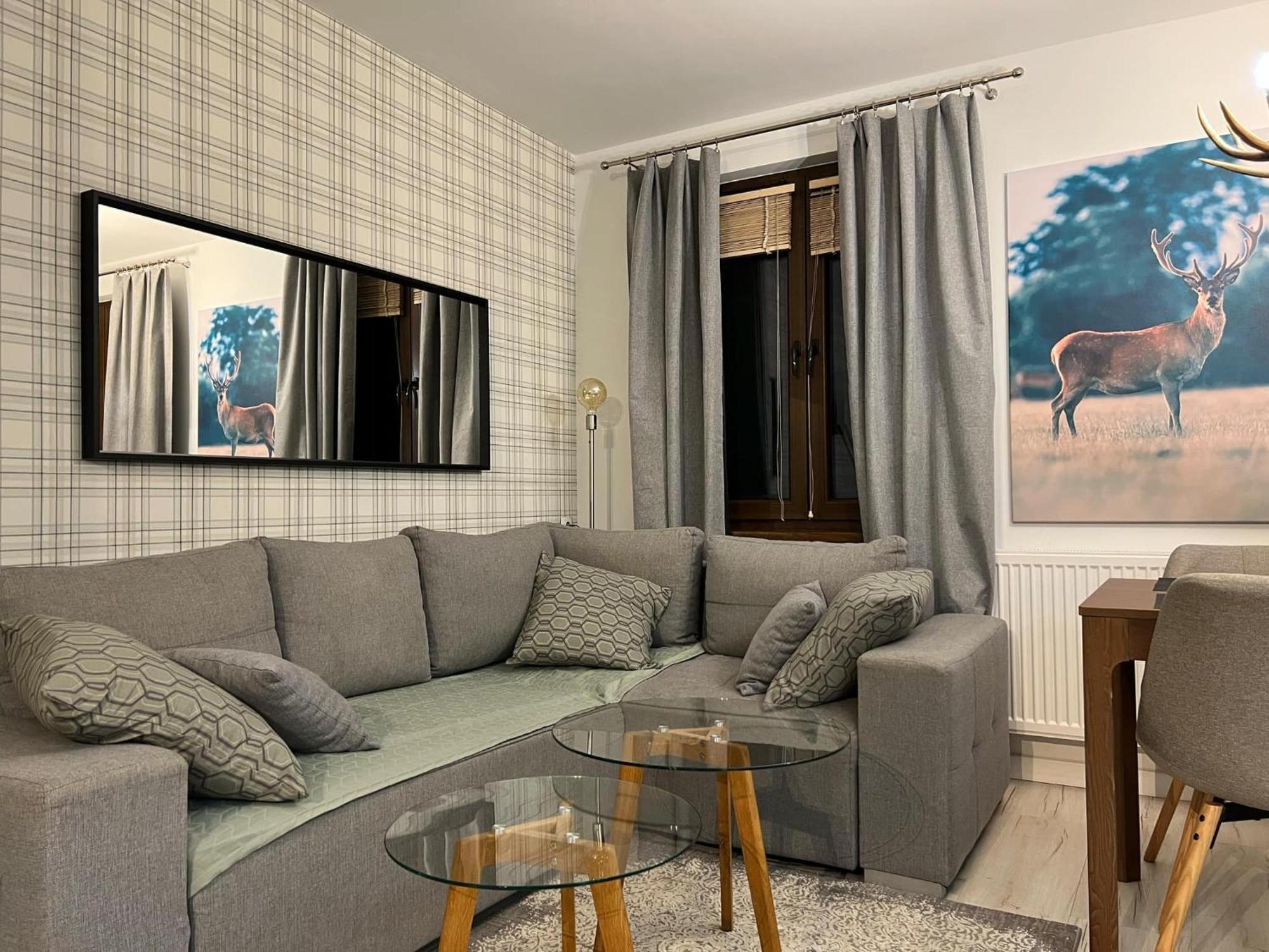 Apartament Dziki Rogacz シュツァブニツァ エクステリア 写真